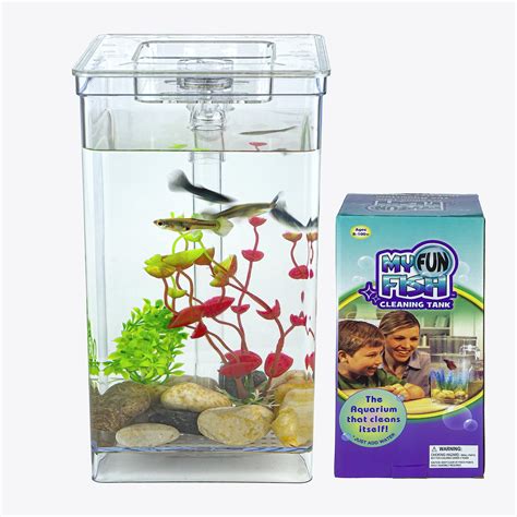 1 Gallon Fish Tank