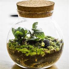 Diy Terrarium by 12 Tips For A Diy Terrarium How To Build A Terrarium Diy Terrarium