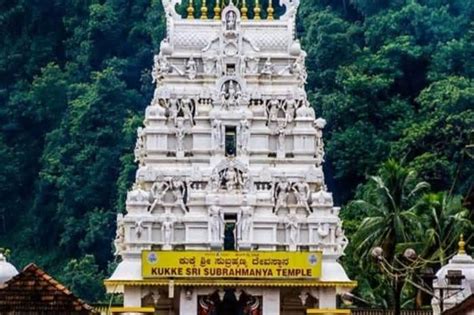 Scientists create genetically engineered wolves with traits of extinct ...