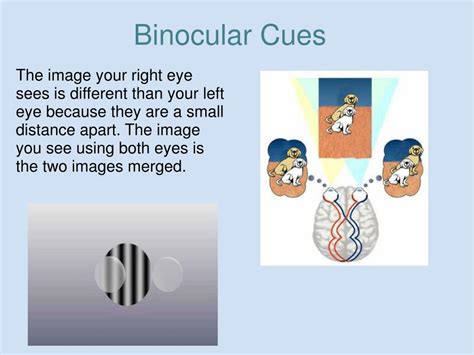 Depth Perception 的图像结果