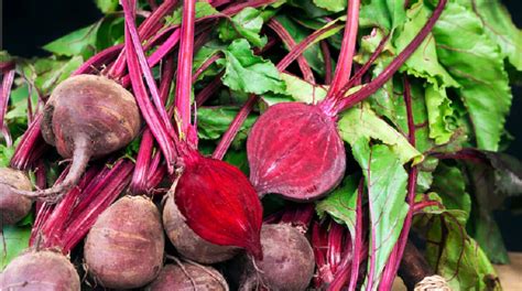 Diabetes: Beetroot is a panacea for diabetes; you will be surprised to ...