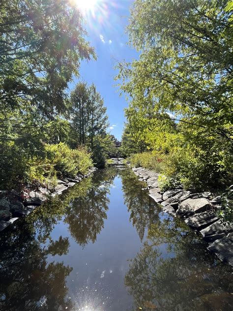 Bristol Community College Pond | Viva Fall River