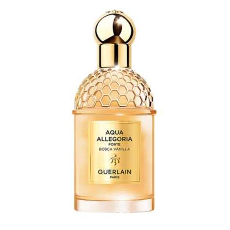 Vanilla perfume delight: Explore the enchanting scents of summer