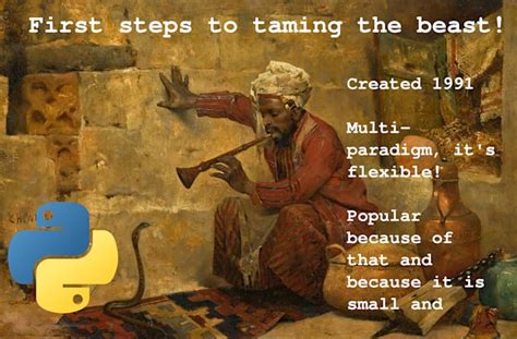 Image result for How to Cook Python