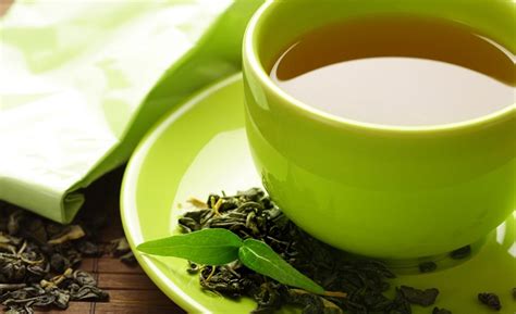 manfaat teh daun kelor