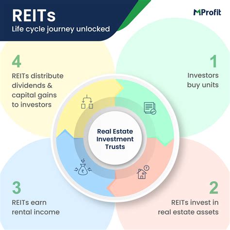 Understanding Real Estate Investment Trusts (REITs) | MProfit