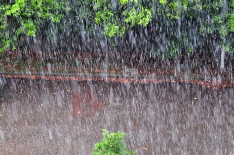 倾盆大雨从天而降（图）_新闻中心_新浪网