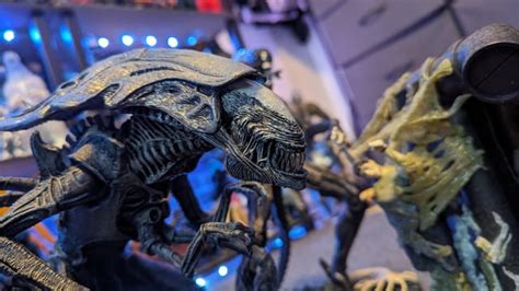 Image result for Alien Battle Macfaren