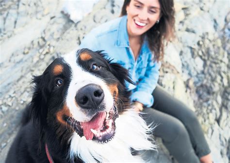 Scientists say dogs may give a lead on human longevity - Read this story on Magzter.com