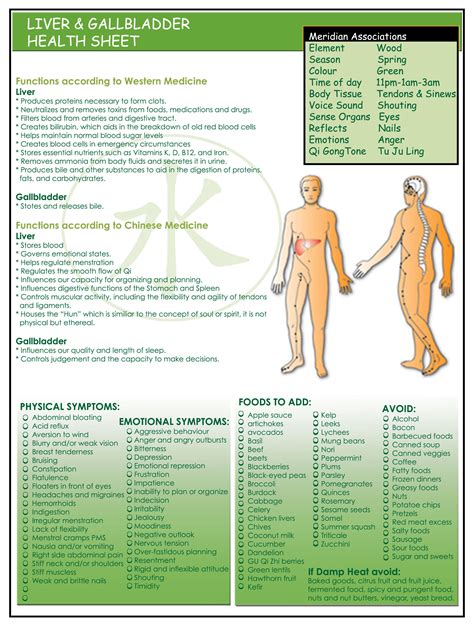 Liver and Gallbladder Functions