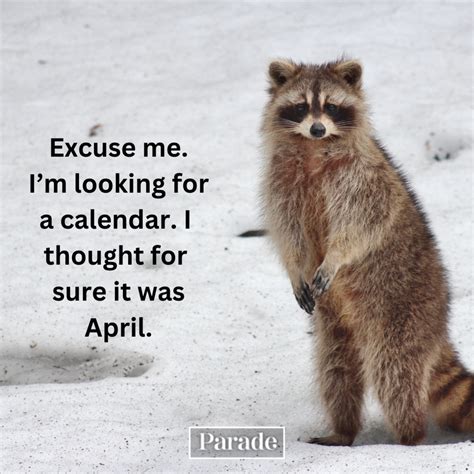 35 Funny April Memes About Rain Showers, Taxes, Easter and More [2025 ...