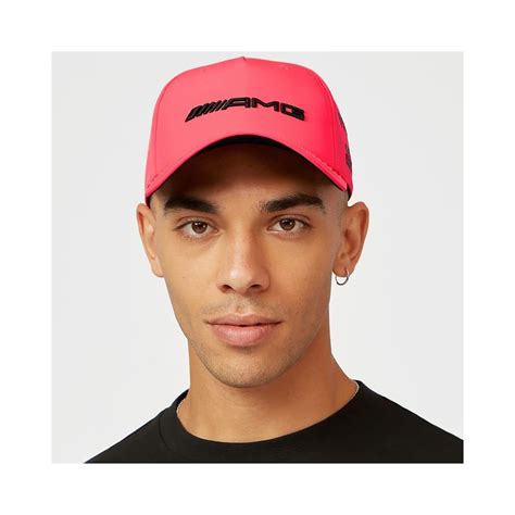 Buy Mercedes-AMG Petronas F1 Special Edition Lewis Hamilton 2022 ...