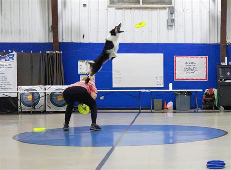 Working spots available. Registration is Open. 2025 TADD Disc Dog 101 ...