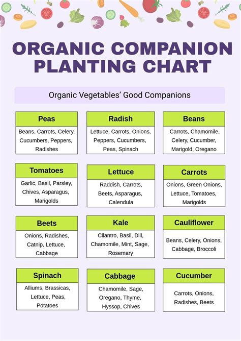 Companion Planting Chart Printable - King Printables