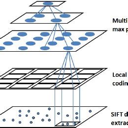 Image result for Sparse Coding Representation