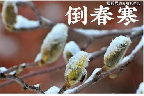 倒春寒形势逐渐确定，下周或大范围下雪！预报：偏冷可能性出现_中国气象爱好者_新浪博客