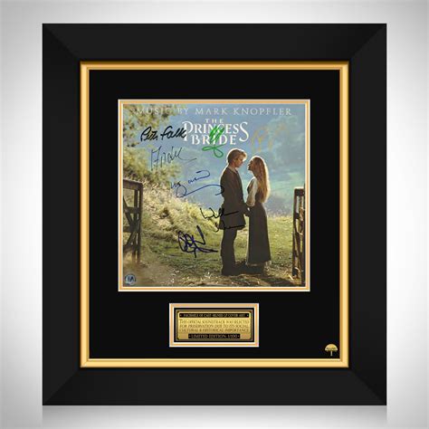 Image result for The Princess Bride Album Cover