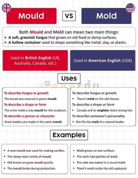 Mould vs Mold – What’s the Difference? - Engrdu