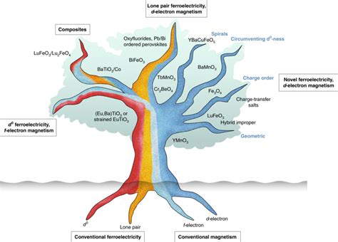Multiferroics 的图像结果