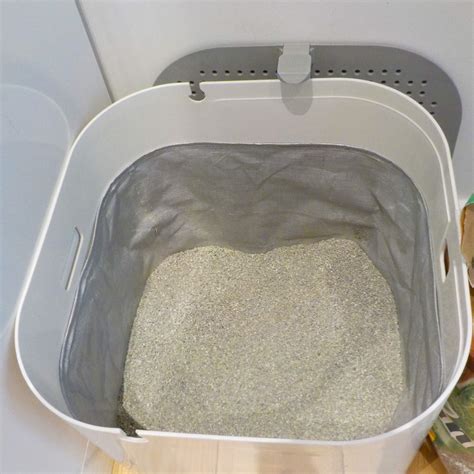 Do Litter Boxes Need Liners? - Litter Boxes Magazine