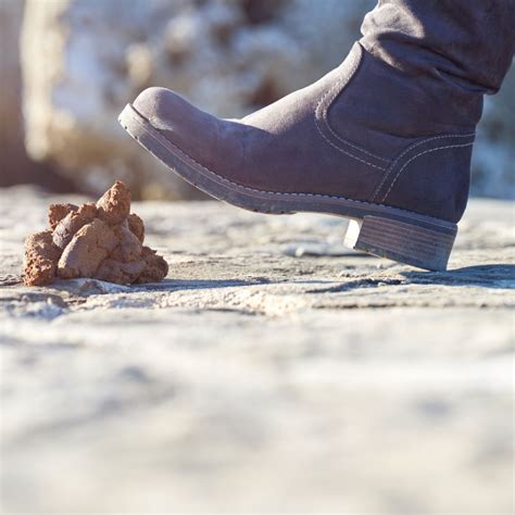 Spiritual Meaning Of Stepping In Dog Poop - Awakening State