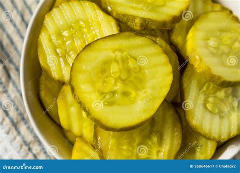 Homemade Preserved Dill PIckle Slices Stock Image - Image of vegetarian ...