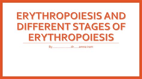 SOLUTION: Erythropoiesis and different stages of erythropoiesis - Studypool