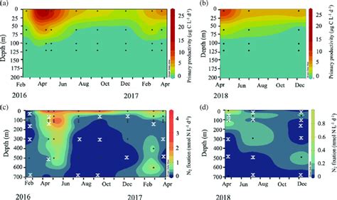 Temporal dynamics of primary productivity (top panels; μg C L À1 d À1 ...