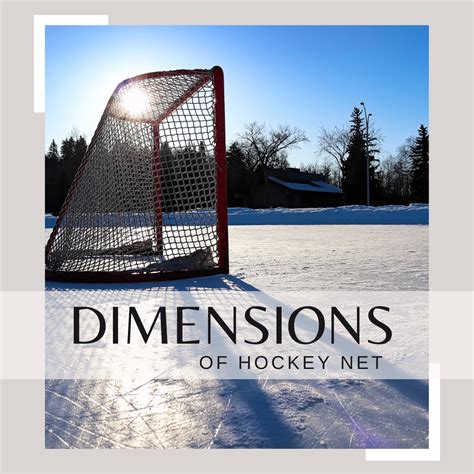Hockey Goal Dimensions at Erminia Heavner blog