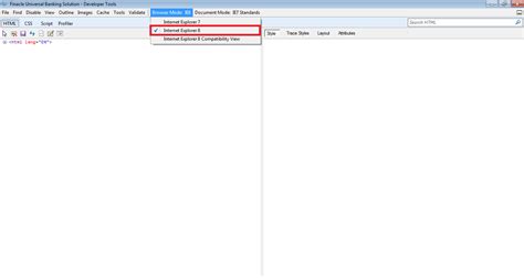 Optimization of Speed of Finacle & Java Setting: Finacle Solution