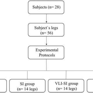 Image result for Randomization Process