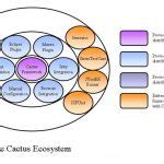 Image result for Cactus Software Tutorial