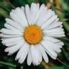 express the following ratio in simplest form 750 ml to 4 l - Brainly.in