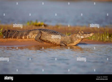 Image result for Example of Information Processing