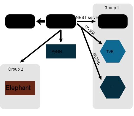 Nest Programming Tutorial 的图像结果