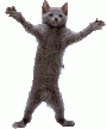 Image result for GIF Programming Random