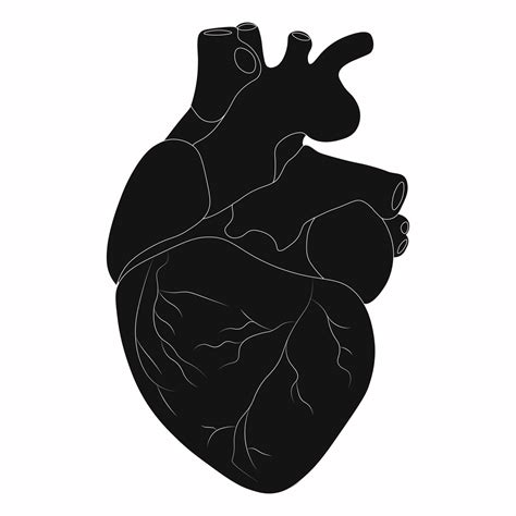 Human heart silhouette. Vector illustration 17079434 Vector Art at Vecteezy