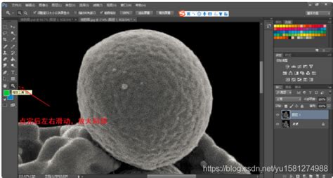 SEM Inspection (Scanning Electron Microscopy) | Oneida Research Services