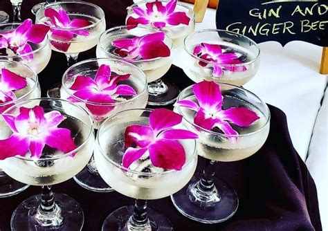 galentines jacksonville fl