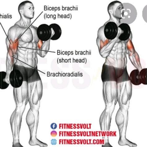 Humming Exercises 的图像结果