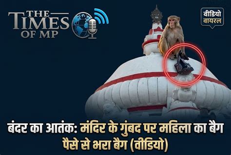 Viral Monkey Video: जगन्नाथ मंदिर के गुंबद पर चढ़ा बंदर!