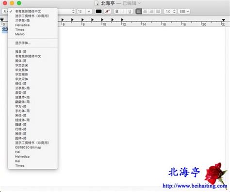 苹果Mac如何设置文本字体?_北海亭-最简单实用的电脑知识、IT技术学习个人站