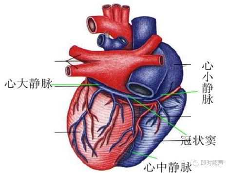 要复出？窦唯宣布将发布新歌：录音成果甚是喜人_娱乐_腾讯网