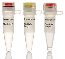 Buy XhoI restriction enzyme ER0691 in India | Biomall