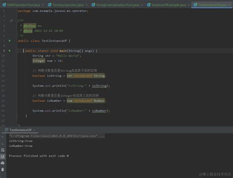 Plusieurs Instances Java 的图像结果