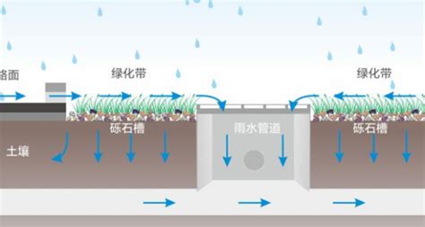 道路雨水排水系统类型和收集井的尺寸 - 龙康雨水收集系统