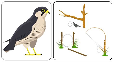 Explanation to Section 2, Paragraph 1-4 of "Princess September ...