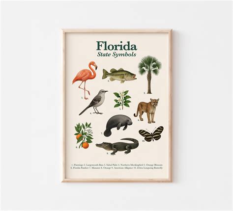 Florida State Symbols Printable [2025]