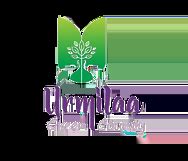 Image result for CSS Gradient Map an Image