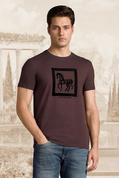 Louis Philippe Sport Crew Neck T-Shirts, Men Brown Print Crew Neck T ...